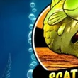 Scatter